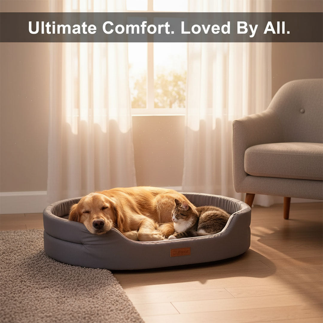 Dog Bed - Memory Foam - Washable Cover