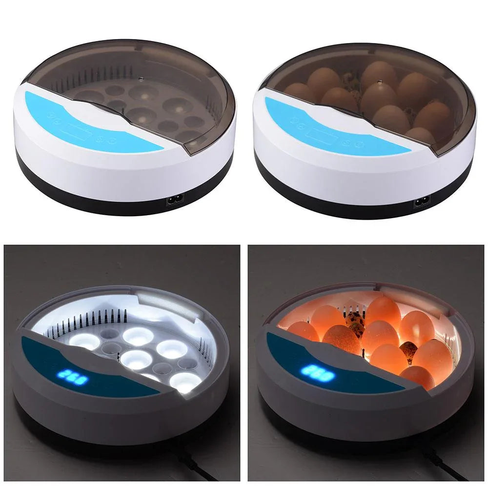 Automatic Egg Incubator - LED Display - Temperature Control