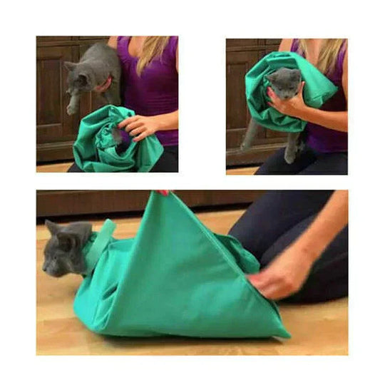 Cat Travel Bag - Mesh Ventilation - Secure Carry