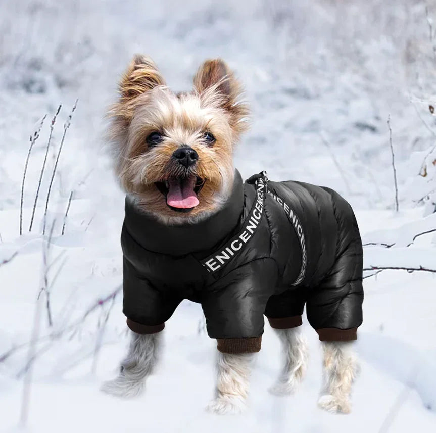 Dog Winter Coat - Insulated Jacket - Cold Weather Protection