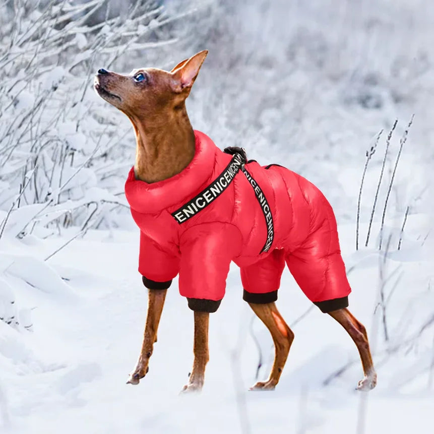 Dog Winter Coat - Insulated Jacket - Cold Weather Protection