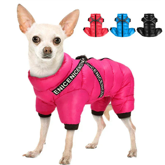 Dog Winter Coat - Insulated Jacket - Cold Weather Protection