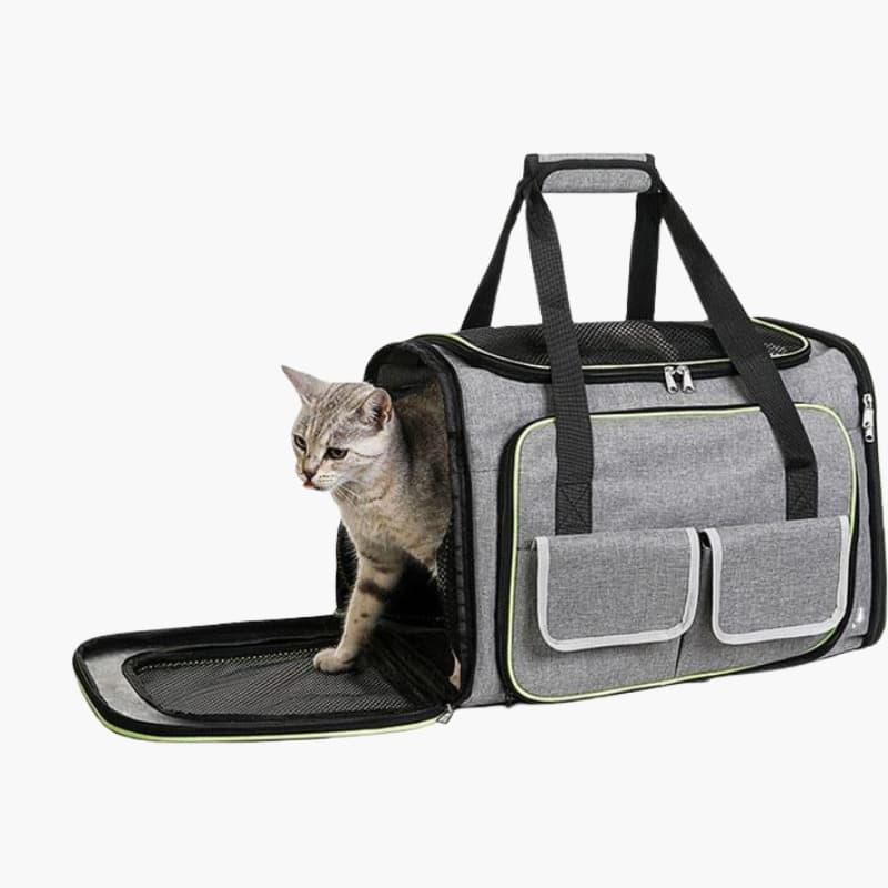 Foldable Pet Carrier - Compact Design - Secure Travel