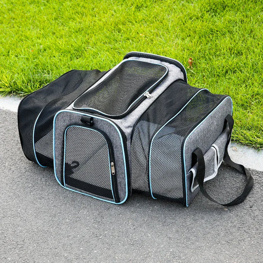 Foldable Pet Carrier - Compact Design - Secure Travel