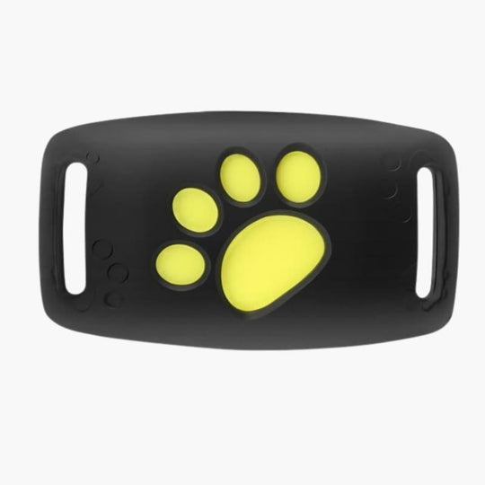 GPS Cat Collar - Real-Time Tracking - Satellite Technology