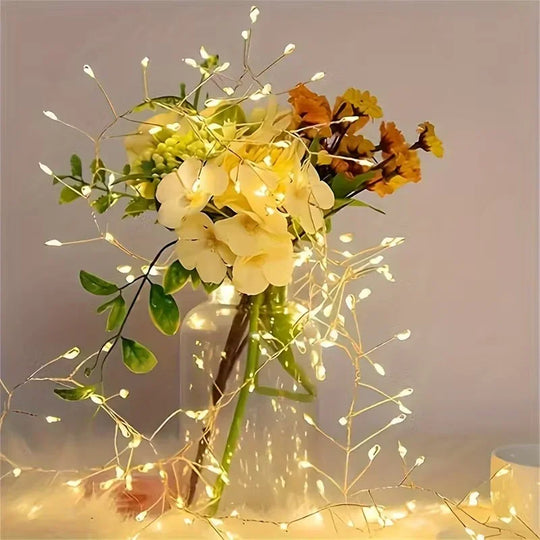 Indoor Christmas LED Lights - USB Powered - Remote Controlled