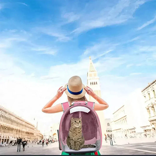 Pet Carrier - 360° View - Secure Design