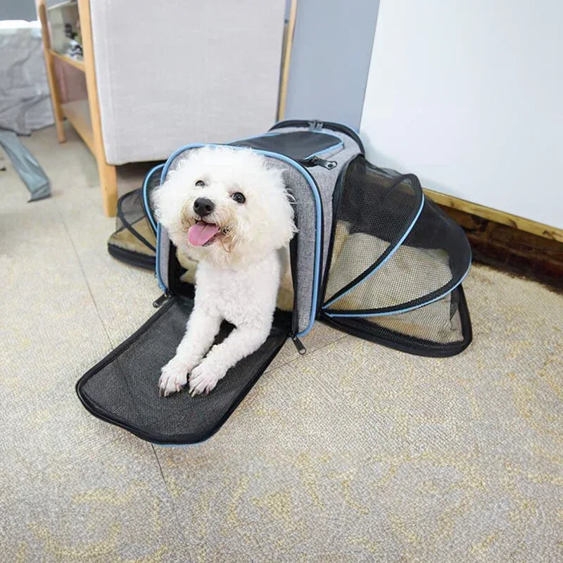 Expandable Pet Carrier - Travel-Friendly - Mesh Design