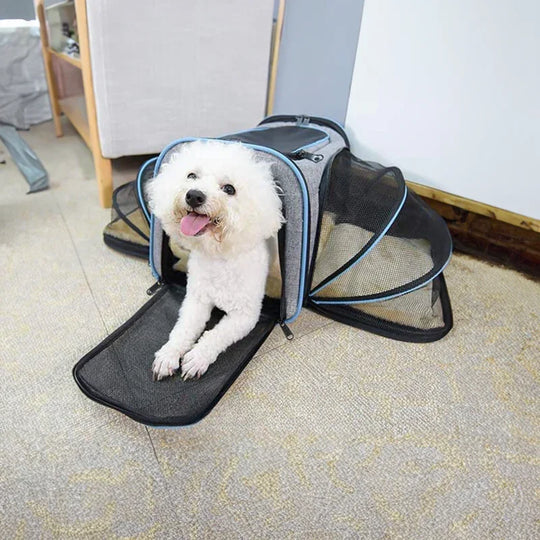 Expandable Pet Carrier - Travel-Friendly - Mesh Design