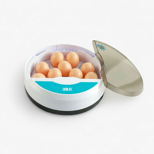 Automatic Egg Incubator - LED Display - Temperature Control