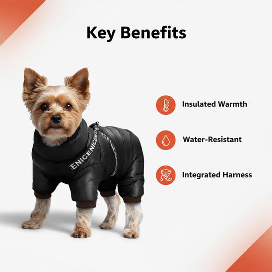 Dog Winter Coat - Insulated Jacket - Cold Weather Protection