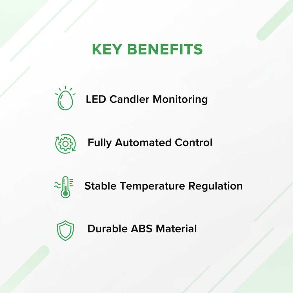 Automatic Egg Incubator - LED Display - Temperature Control