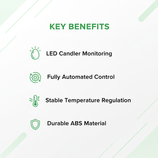 Automatic Egg Incubator - LED Display - Temperature Control
