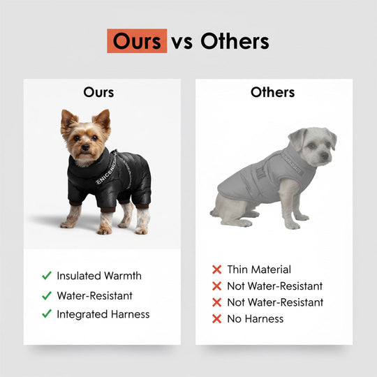 Dog Winter Coat - Insulated Jacket - Cold Weather Protection