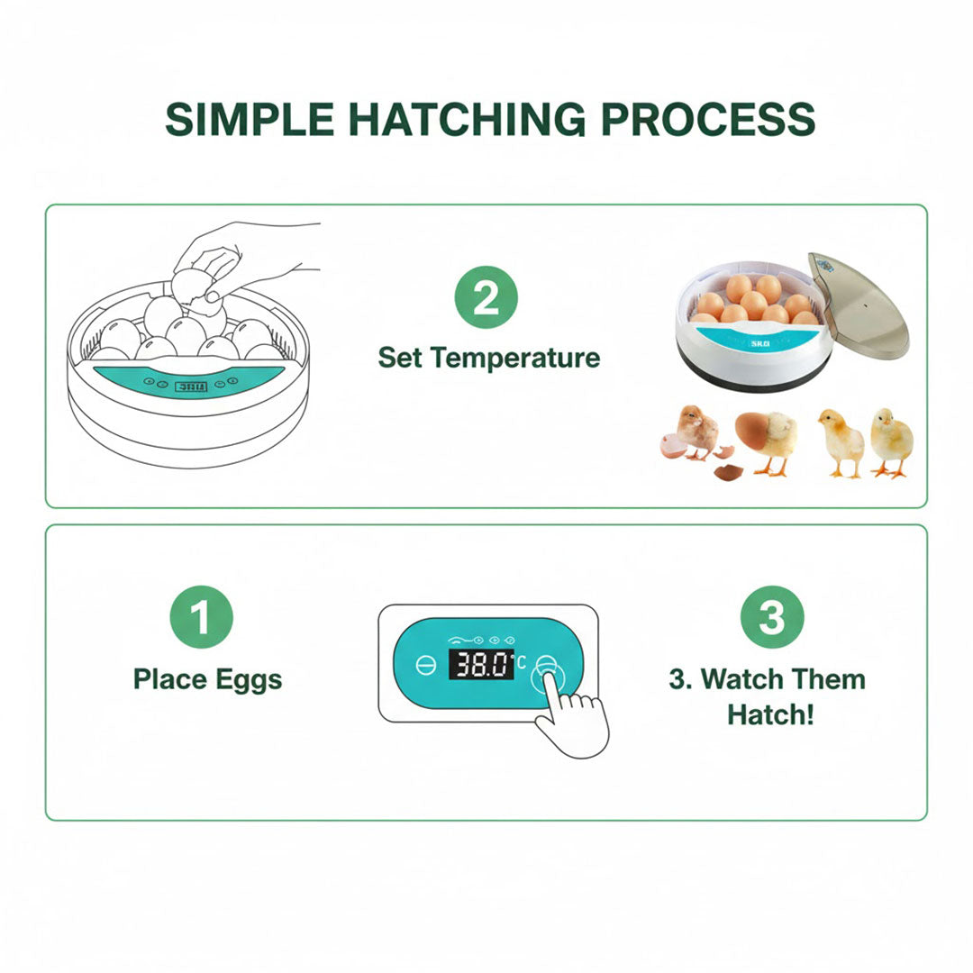 Automatic Egg Incubator - LED Display - Temperature Control