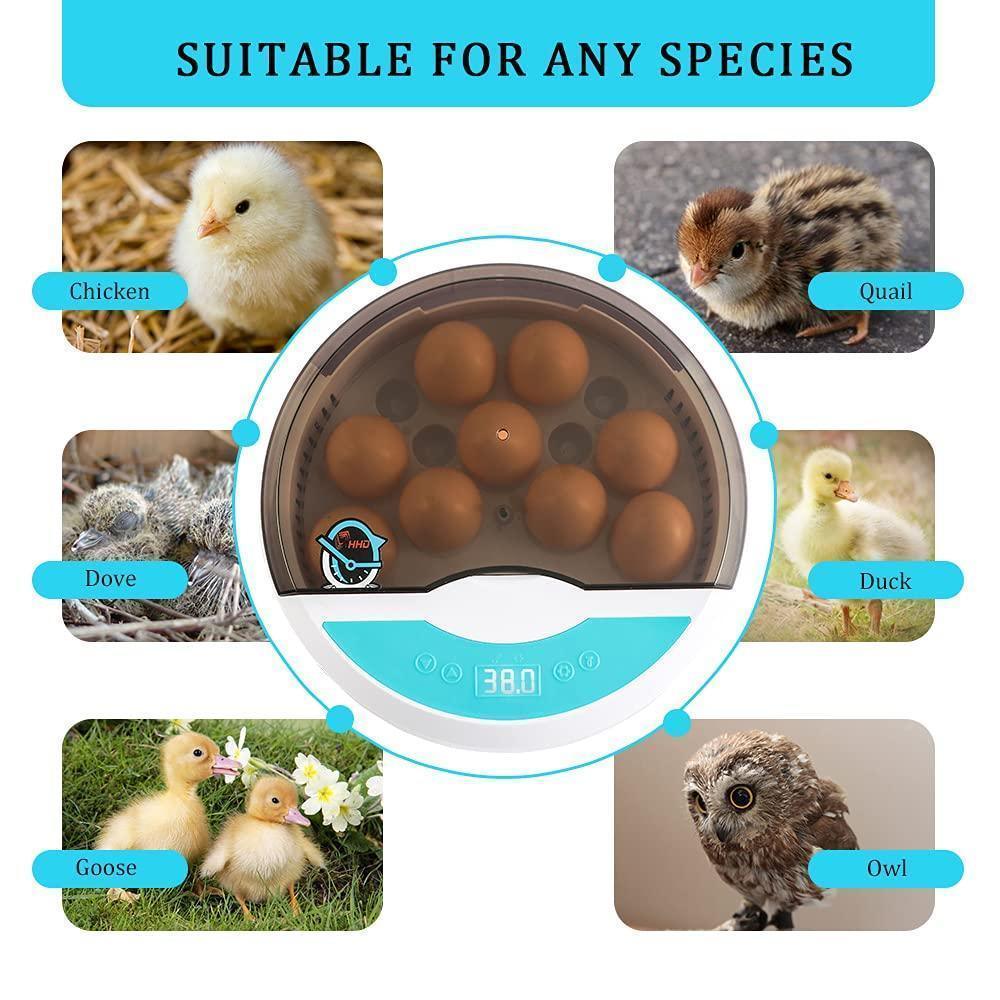 Automatic Egg Incubator - LED Display - Temperature Control