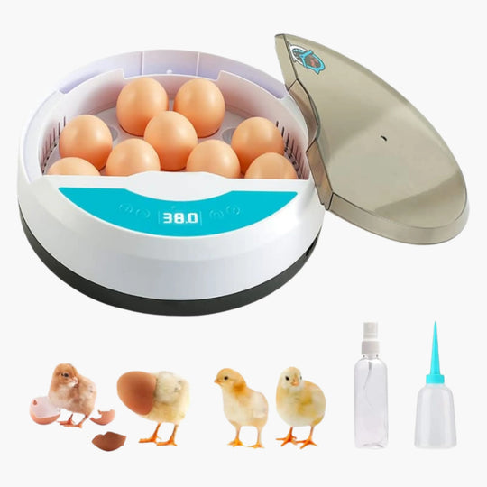 Automatic Egg Incubator - LED Display - Temperature Control