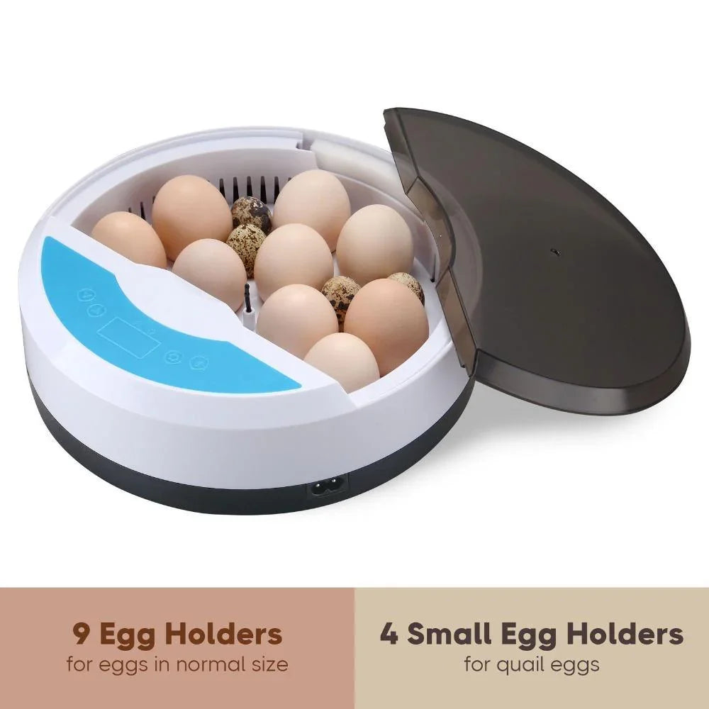 Automatic Egg Incubator - LED Display - Temperature Control