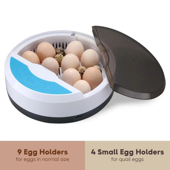 Automatic Egg Incubator - LED Display - Temperature Control