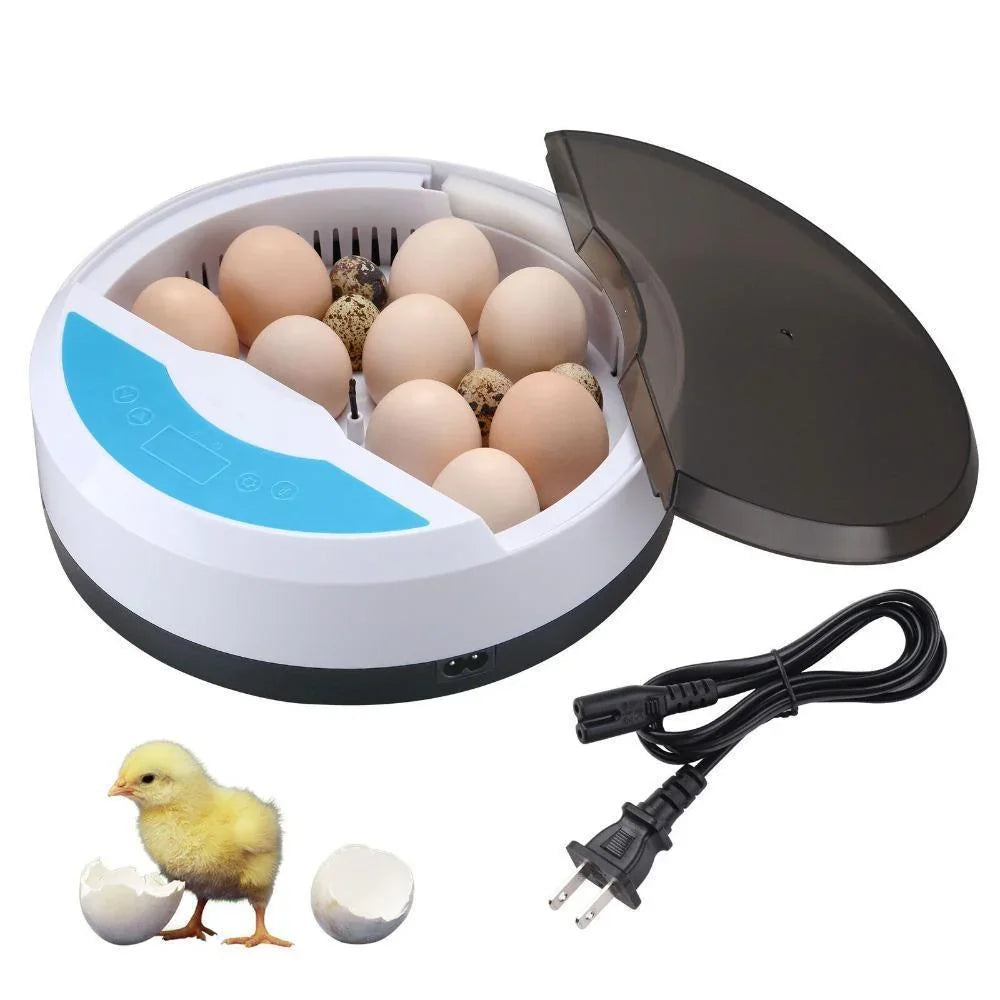 Automatic Egg Incubator - LED Display - Temperature Control