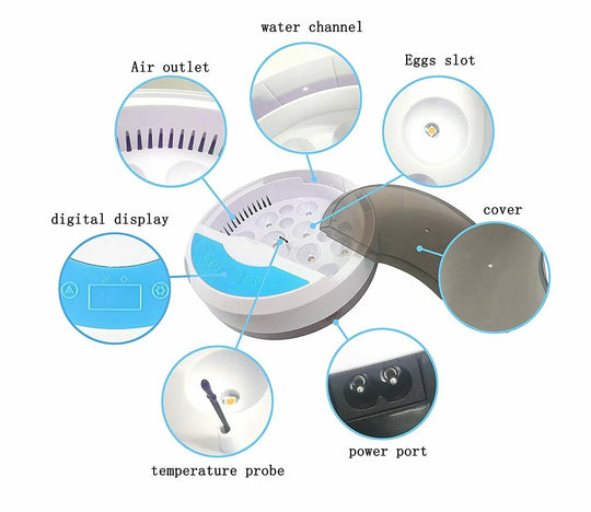 Automatic Egg Incubator - LED Display - Temperature Control