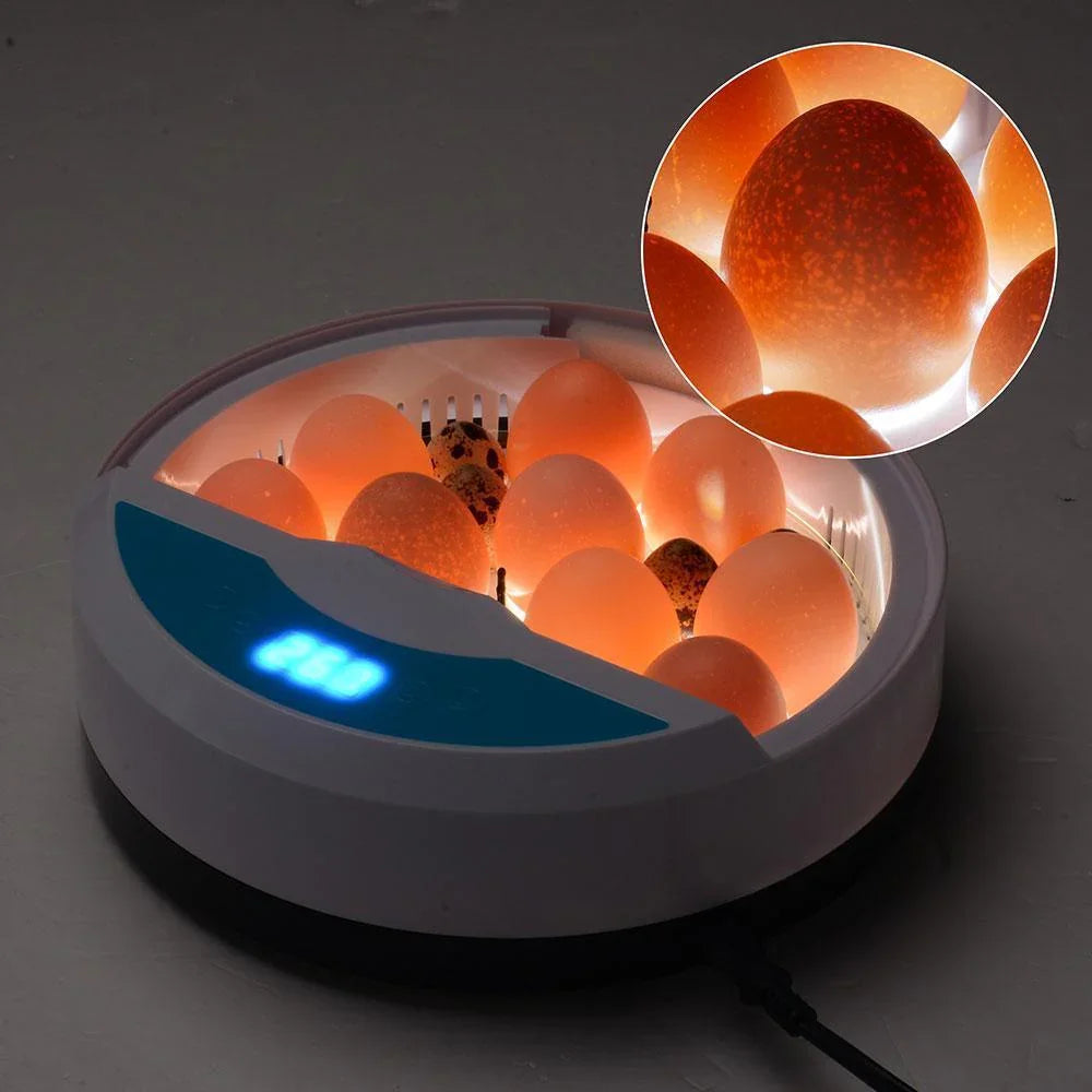 Automatic Egg Incubator - LED Display - Temperature Control