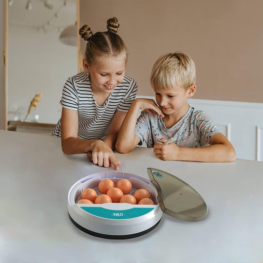 Automatic Egg Incubator - LED Display - Temperature Control