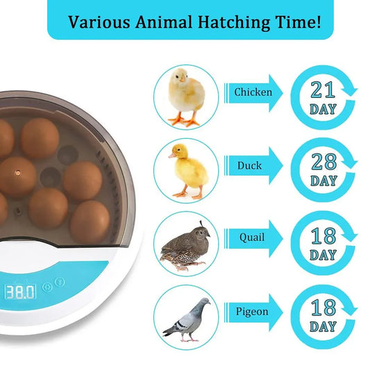 Automatic Egg Incubator - LED Display - Temperature Control
