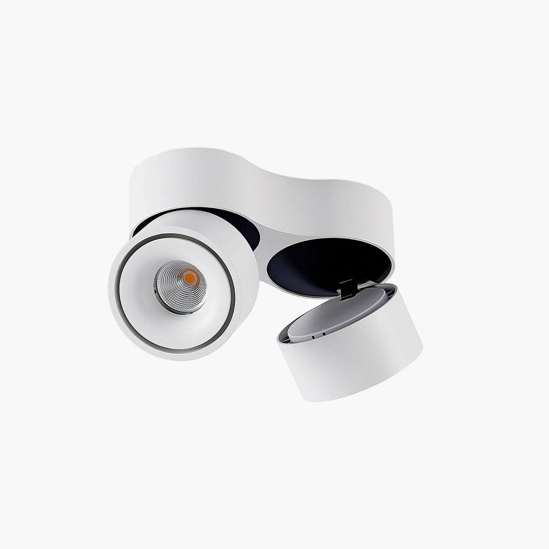 Ceiling Light Fixture - Adjustable Spotlights - LED Light - Luvonic