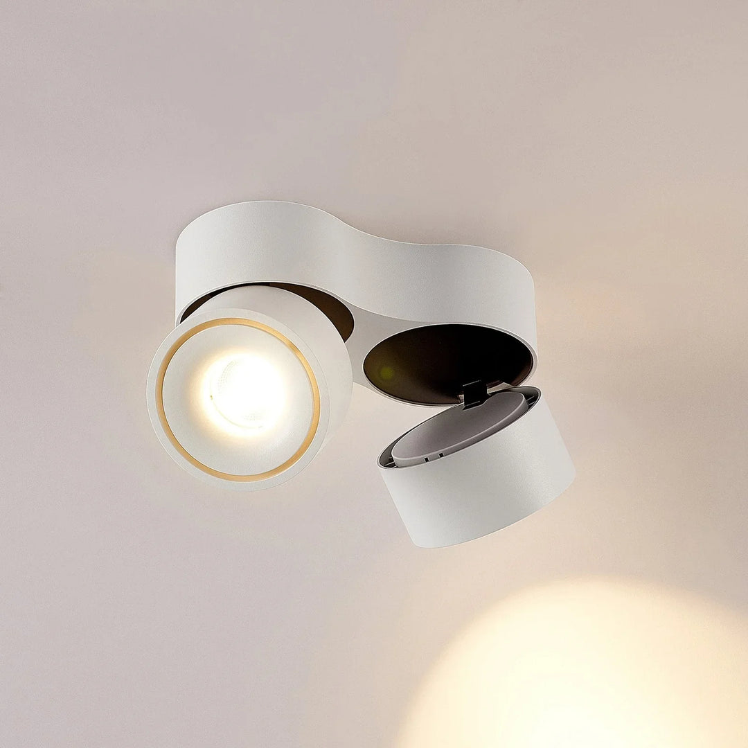 Ceiling Light Fixture - Adjustable Spotlights - LED Light - Luvonic