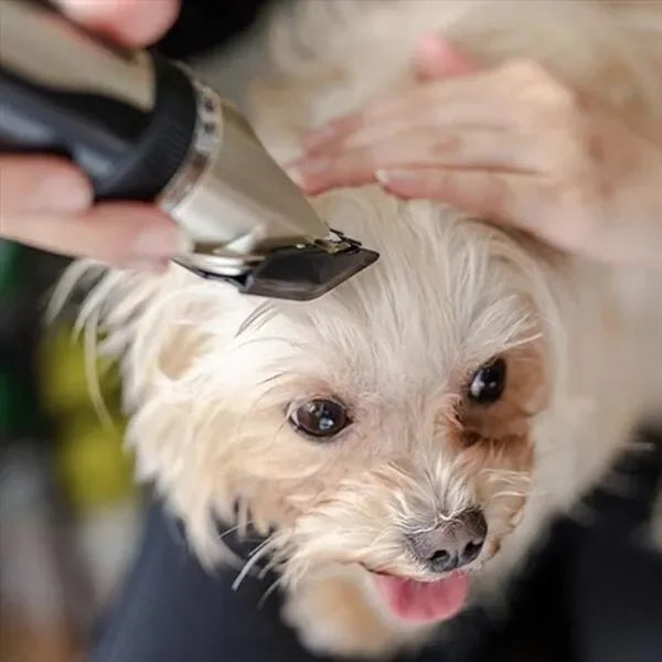 Dog Grooming Trimmer Set - Silent Motor - Adjustable Combs