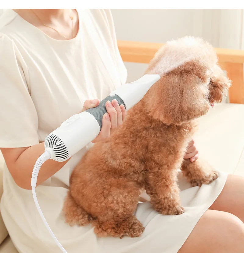 Dog Hair Dryer - Grooming Brush - Styling Comb