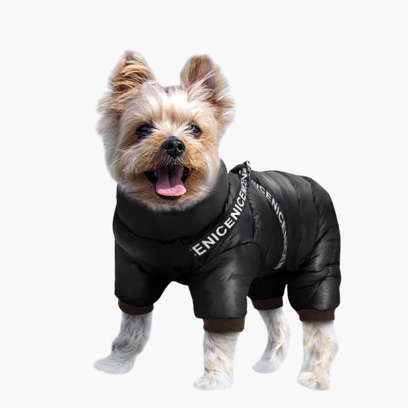 Dog Winter Coat - Insulated Jacket - Cold Weather Protection