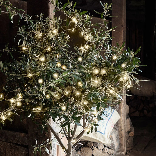 Fairy Lights - Warm White - Christmas Decorations