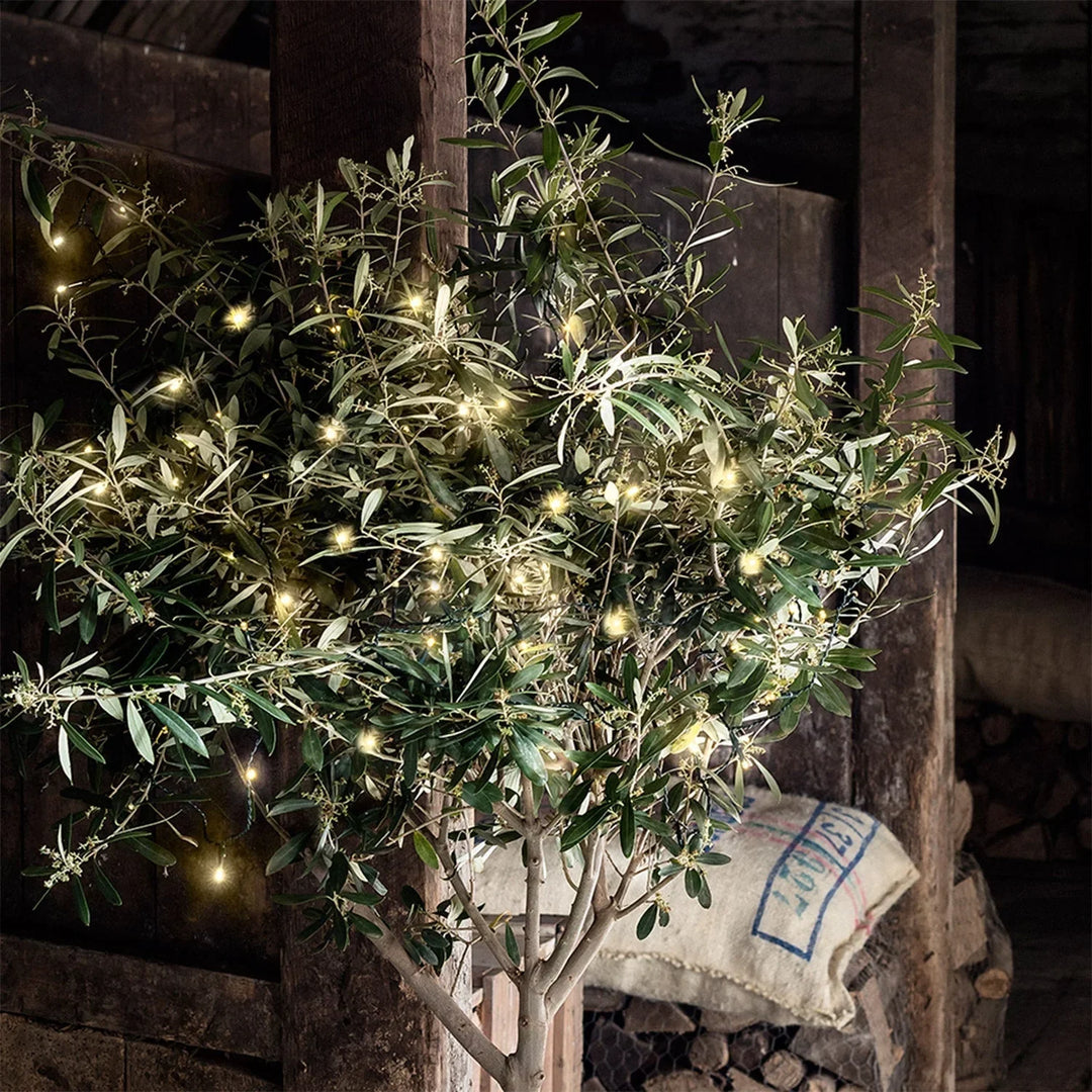 LED String Lights - Christmas Decorations - Outdoor Lighting