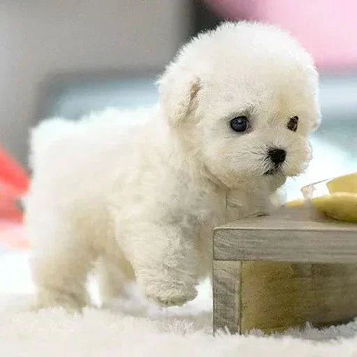 Plush Puppy Toy - Realistic Design - Soft Fur