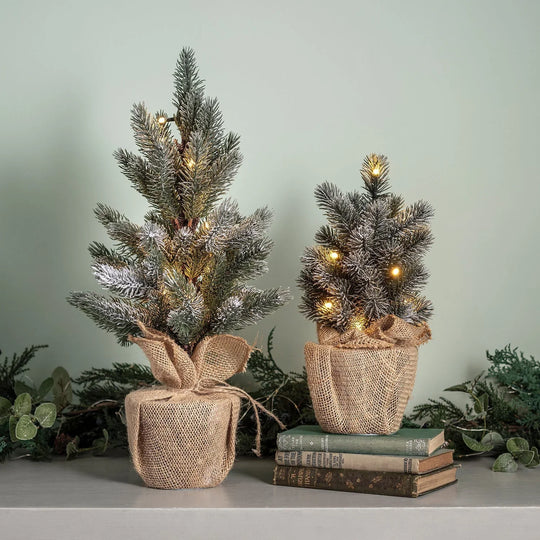 Pre-Lit Mini Christmas Tree - LED Lights - Frosted Branches