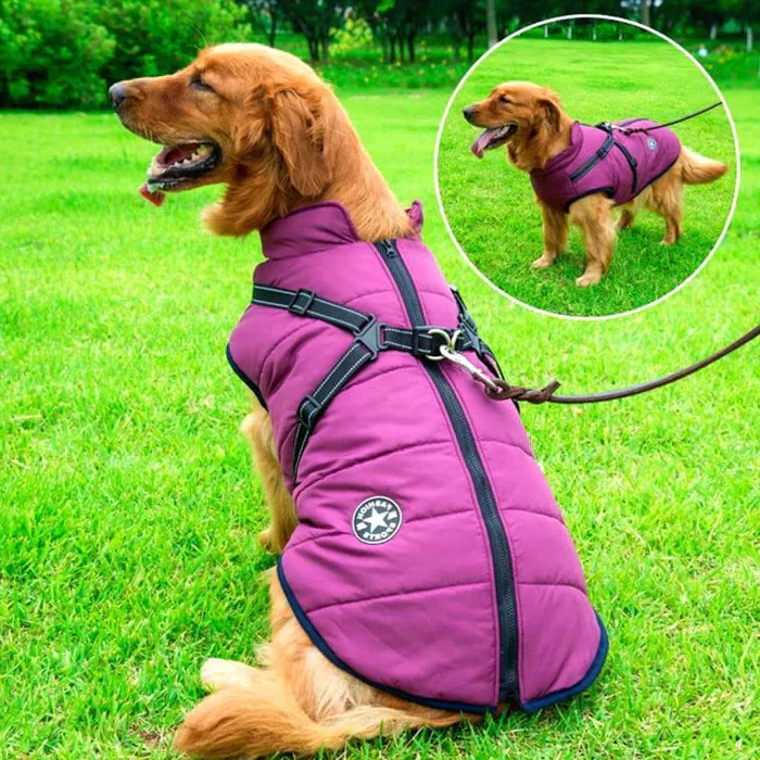 Dog Jacket - Winter Design - Harness Feature