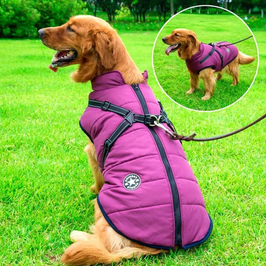 Dog Jacket - Winter Design - Harness Feature