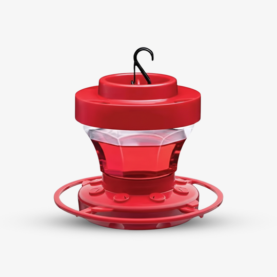 Hummingbird Feeder - Bee Resistant - Hanging Perch