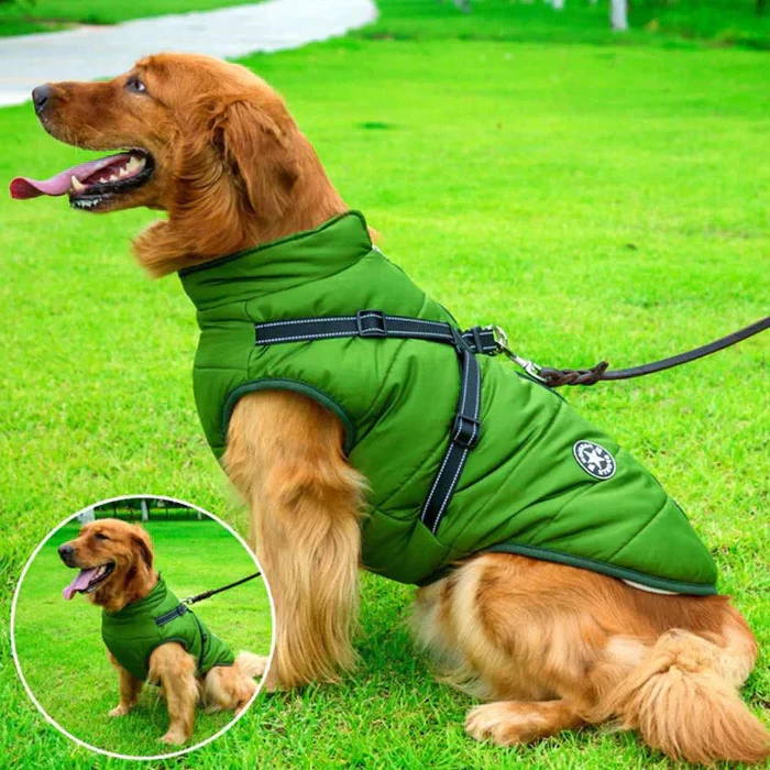 Dog Jacket - Winter Design - Harness Feature