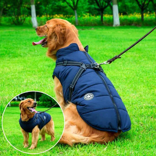Dog Jacket - Winter Design - Harness Feature