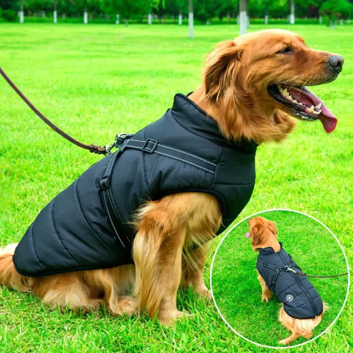 Dog Jacket - Winter Design - Harness Feature