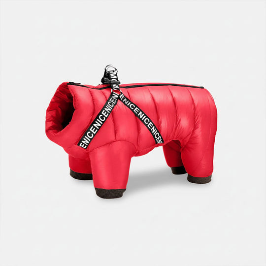 Dog Winter Coat - Insulated Jacket - Cold Weather Protection