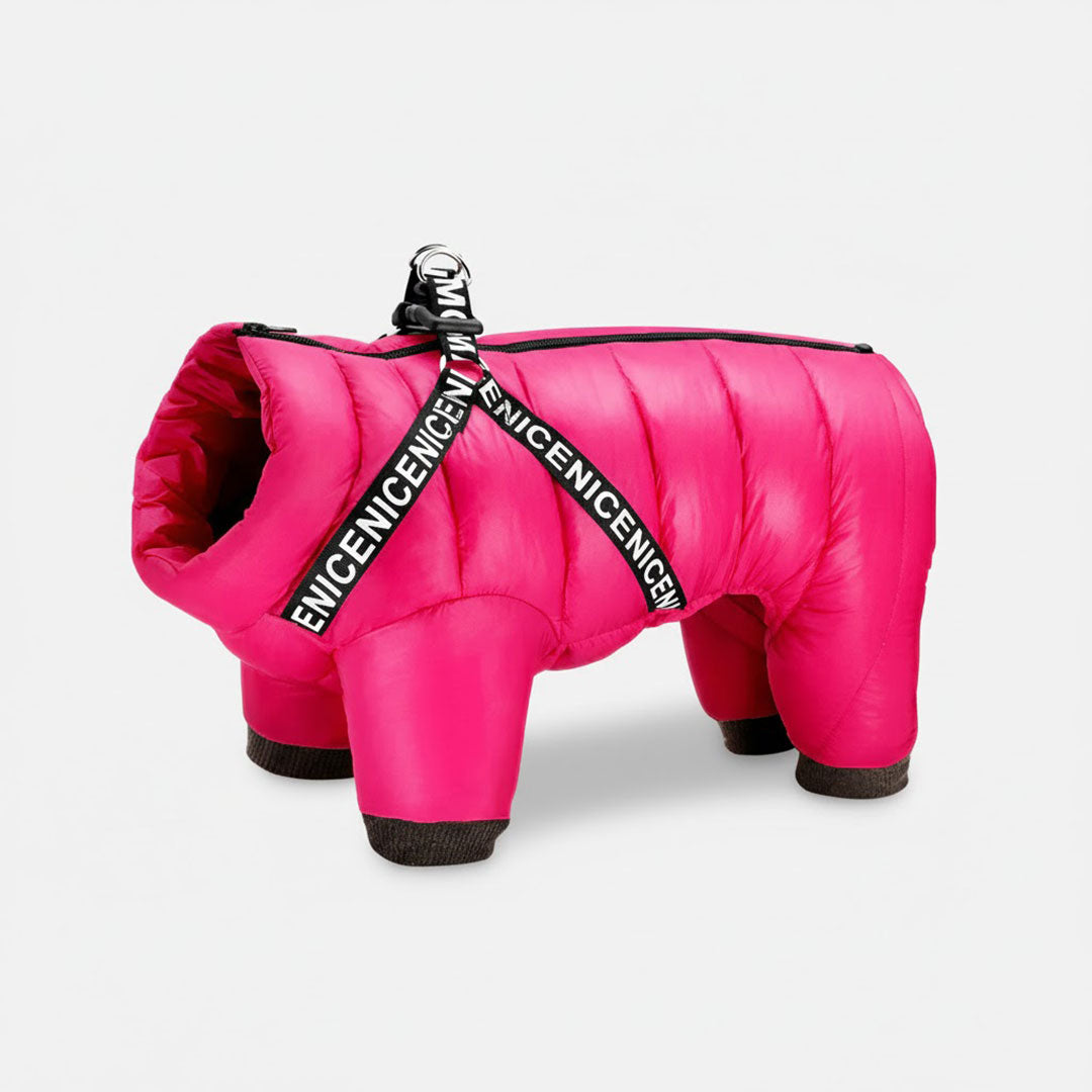 Dog Winter Coat - Insulated Jacket - Cold Weather Protection