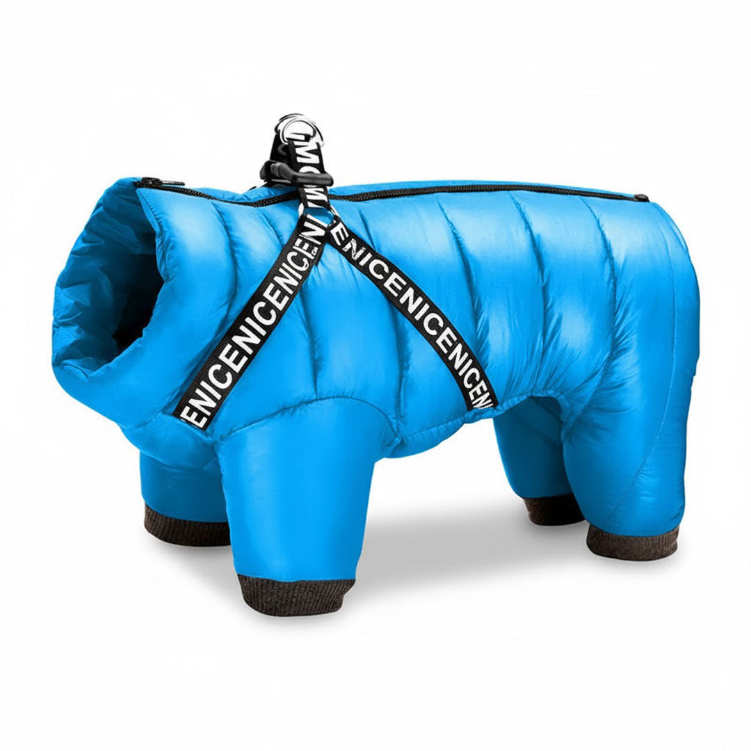 Dog Winter Coat - Insulated Jacket - Cold Weather Protection